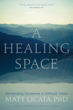 book cover for A Healing Space