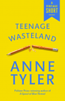 book cover for Teenage Wasteland