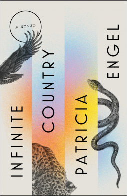 book cover for Infinite Country