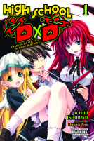 book cover for High School DxD, Vol. 1 (light novel)