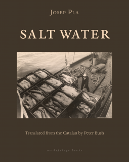 book cover for Salt Water