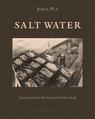 book cover for Salt Water