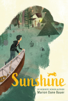 book cover for Sunshine