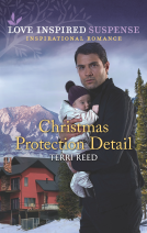 book cover for Christmas Protection Detail