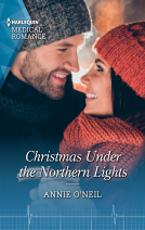 book cover for Christmas Under the Northern Lights