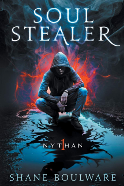 book cover for Soulstealer