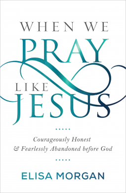 book cover for When We Pray Like Jesus