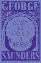 book cover for A Swim in a Pond in the Rain
