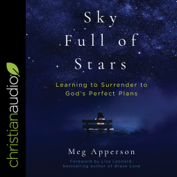 book cover for A Sky Full of Stars