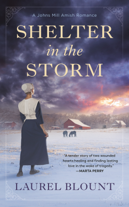 book cover for Shelter in the Storm