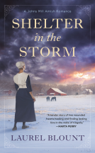 book cover for Shelter in the Storm