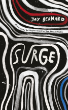 book cover for Surge