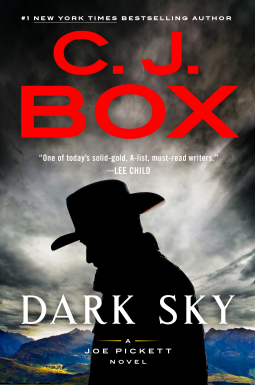 book cover for Dark Sky