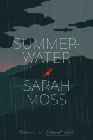 book cover for Summerwater