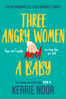 book cover for Three Angry Women And A Baby