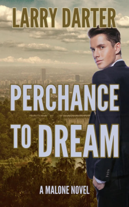 book cover for Perchance To Dream