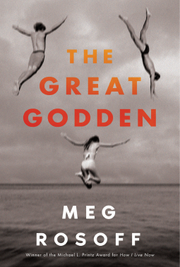 book cover for The Great Godden