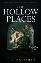 book cover for The Hollow Places
