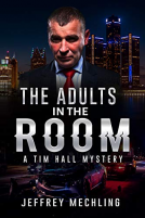 book cover for The Adults in the Room