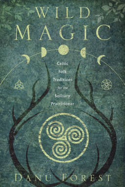 book cover for Wild Magic