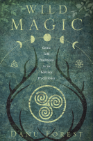 book cover for Wild Magic