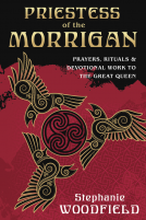book cover for Priestess of The Morrigan