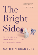 book cover for The Bright Side