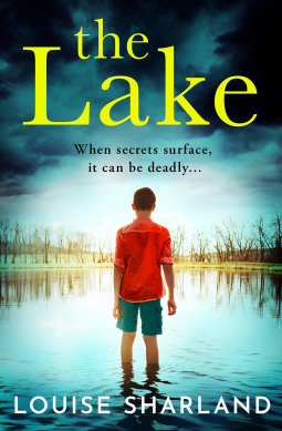 book cover for The Lake