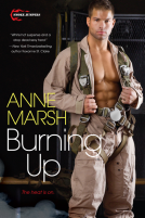 book cover for Burning Up