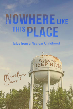 book cover for Nowhere like This Place