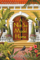book cover for A Not So Model Home
