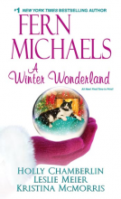 book cover for A Winter Wonderland