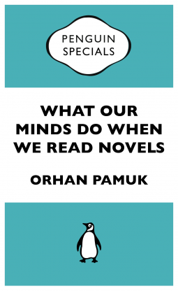 book cover for What Our Minds Do When We Read Novels