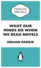 book cover for What Our Minds Do When We Read Novels