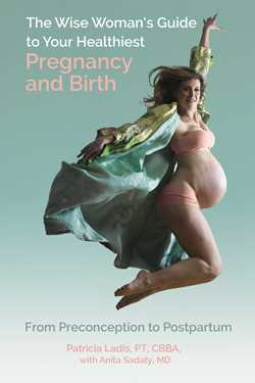 book cover for The Wise Woman's Guide to Your Healthiest Pregnancy and Birth