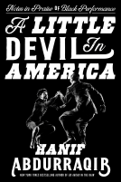 book cover for A Little Devil in America
