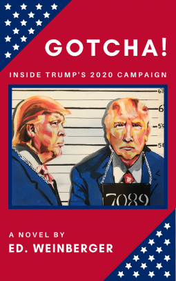 book cover for GOTCHA!