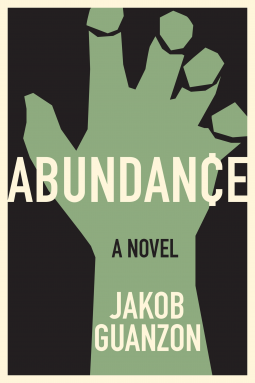 book cover for Abundance
