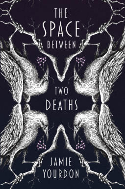 book cover for The Space Between Two Deaths