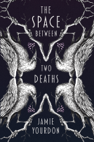 book cover for The Space Between Two Deaths