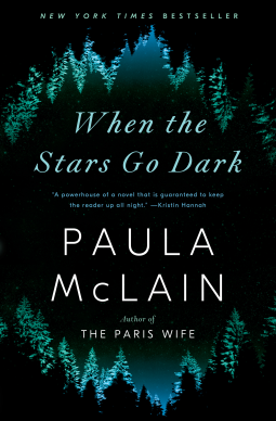 book cover for When the Stars Go Dark