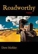 book cover for Roadworthy
