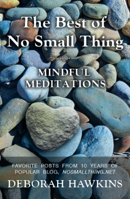 book cover for The Best of No Small Thing — Mindful Meditations