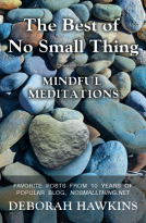 book cover for The Best of No Small Thing — Mindful Meditations