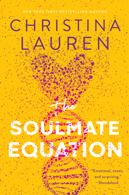 book cover for The Soulmate Equation
