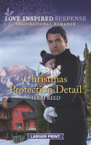 book cover for CHRISTMAS PROTECTION DETAIL