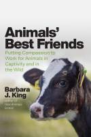 book cover for Animals' Best Friends
