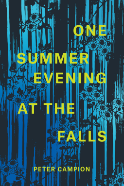 book cover for One Summer Evening at the Falls