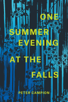 book cover for One Summer Evening at the Falls