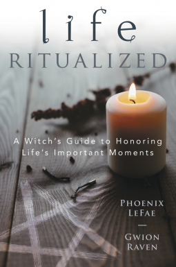 book cover for Life Ritualized